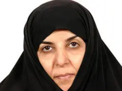 تقابلی بین مجلس و دولت به وجود نمی آید