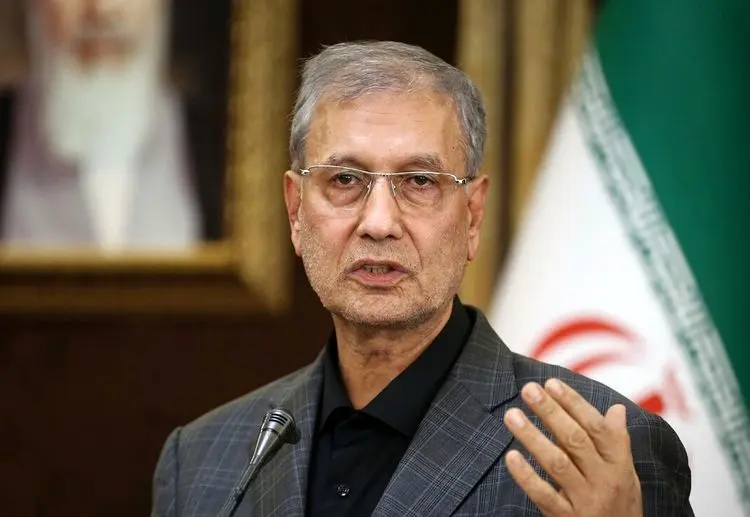 ربیعی: ۱۹۵ ایراد به بودجه مصوبه مجلس وارد دانستیم