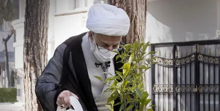 عکسی از درختکاری آیت الله جنتی در حیاط شورای نگهبان