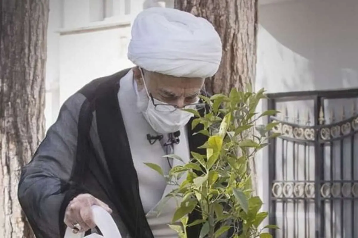 عکسی از درختکاری آیت الله جنتی در حیاط شورای نگهبان