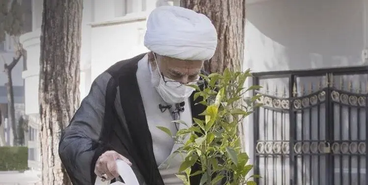 عکسی از درختکاری آیت الله جنتی در حیاط شورای نگهبان