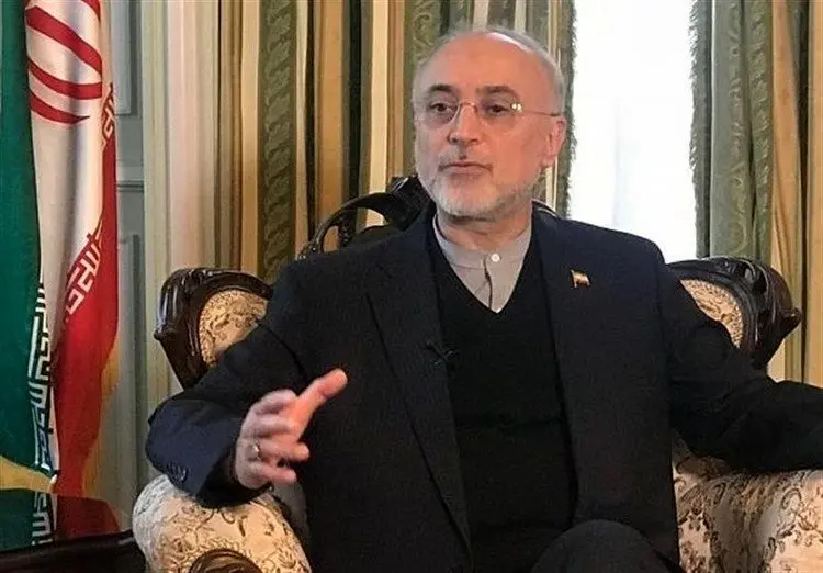 صالحی: رهبر انقلاب حرف نهایی را درباره سلاح اتمی زده‌اند