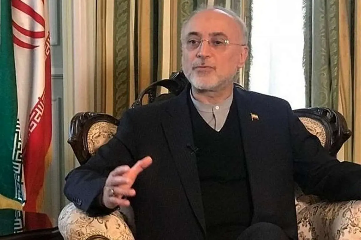 صالحی: رهبر انقلاب حرف نهایی را درباره سلاح اتمی زدهاند