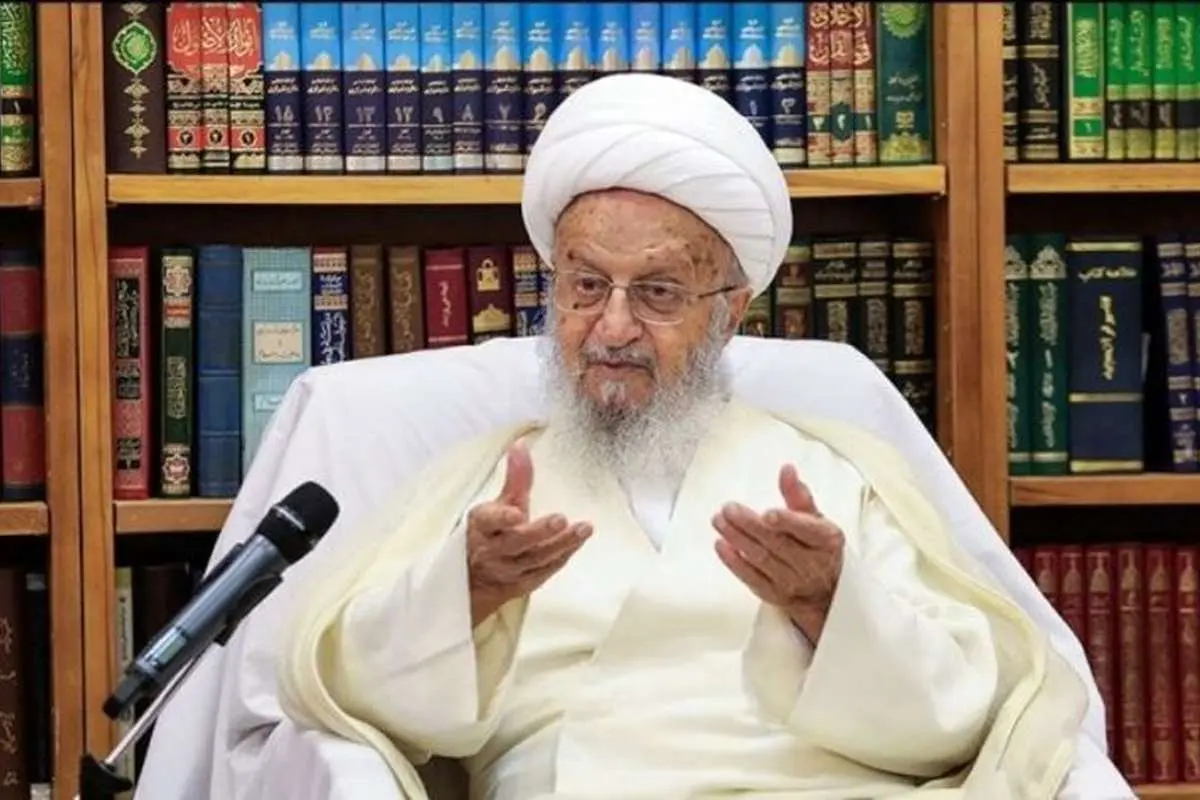 انتقاد مکارم از جولان دلالان و قیمت بالای ارز