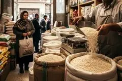 راهنمای خرید برنج؛ قیمت انواع برنج ایرانی و خارجی در پاییز ۱۴۰۴