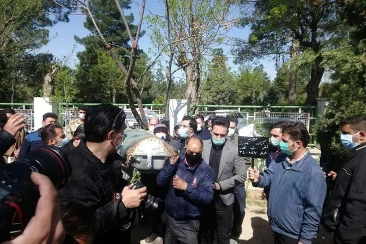 (ویدئو) گلایه پدر آزاده نامداری از شایعات فضای مجازی درباره دخترش