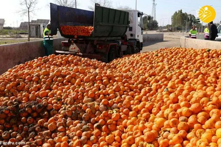 (ویدئو) تولید برق از پرتقال!