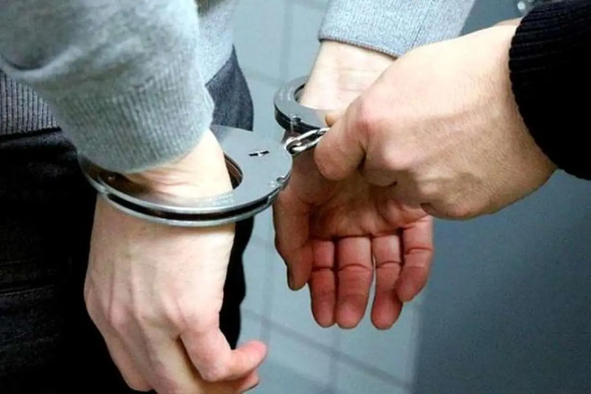 میهمانی دردسرساز در ویلا