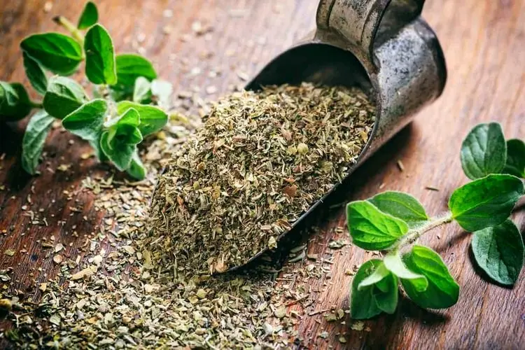 همه چیز در مورد گیاه دارویی آویشن