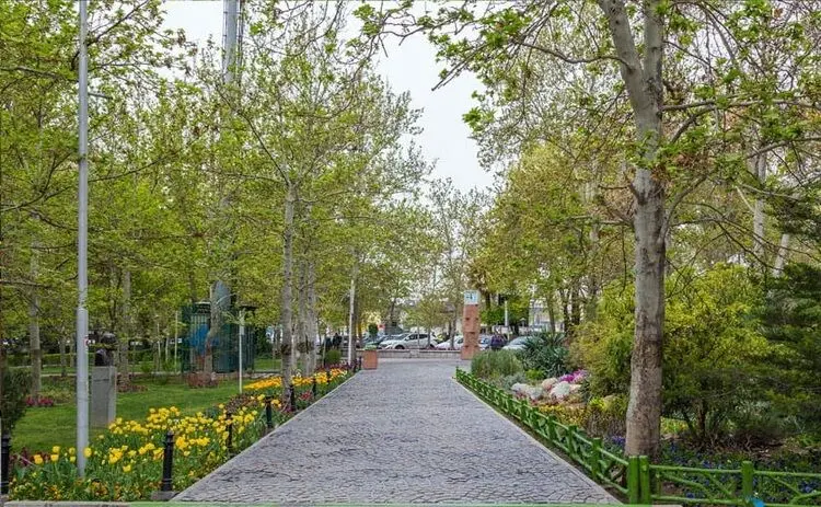 چرای گوسفندان در یکی از بوستان‌های تهران