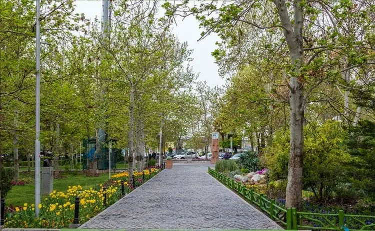 چرای گوسفندان در یکی از بوستان‌های تهران