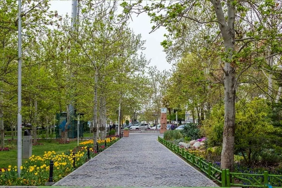 چرای گوسفندان در یکی از بوستانهای تهران