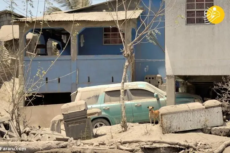 (تصاویر) دردسر فوران آتشفشان لا سوفیِر