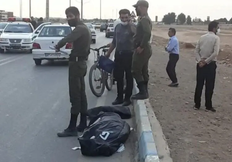 یک کشته و یک مصدوم در حمله سگ‌ها در شاهین شهر