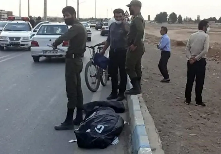 یک کشته و یک مصدوم در حمله سگ‌ها در شاهین شهر