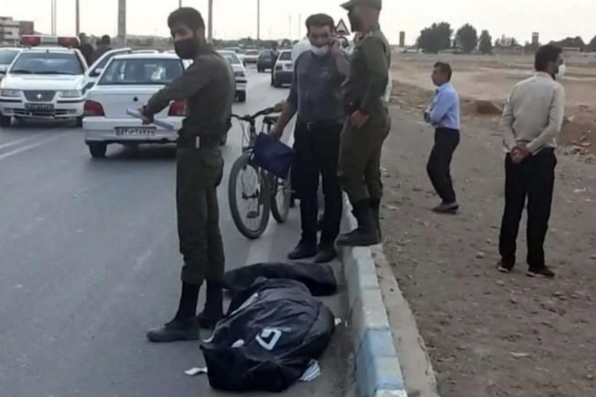 یک کشته و یک مصدوم در حمله سگها در شاهین شهر
