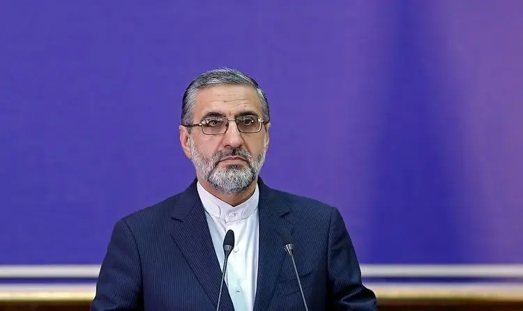 سخنگوی قوه قضاییه: 
پرونده آزاده نامداری جنایی نیست