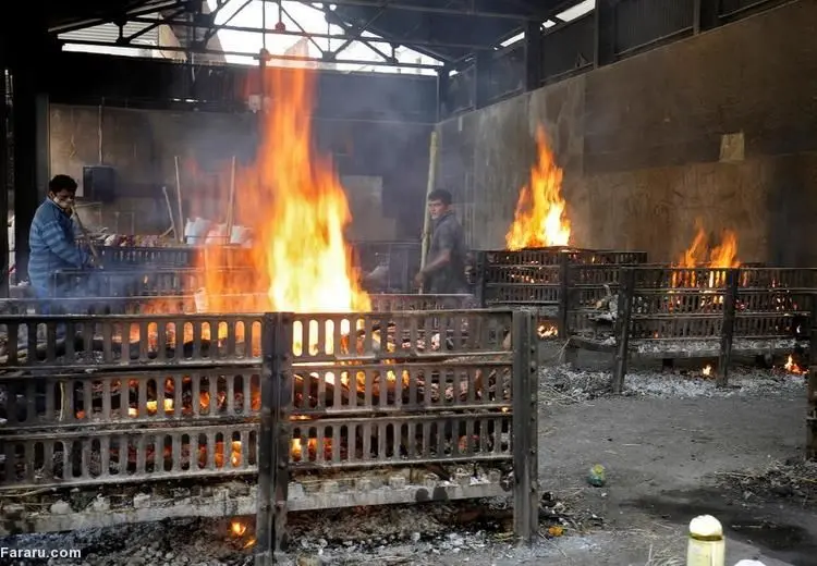 (ویدئو) سوزاندن دسته جمعی قربانیان کرونا در پارکینگ!