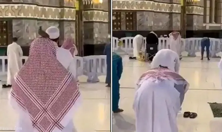 (ویدئو) نشستن یک کبوتر روی سر نمازگزار در خانه خدا