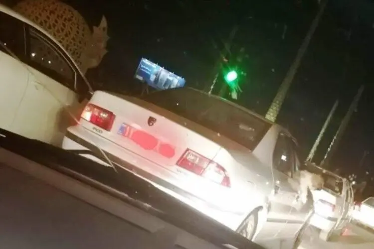 (ویدئو) حضور دردسر ساز یک سگ خانگی در خودرو دولتی