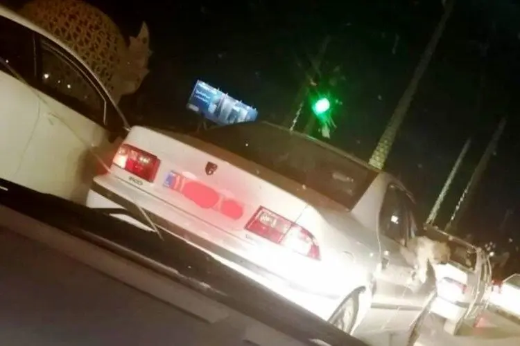 (ویدئو) حضور دردسر ساز یک سگ خانگی در خودرو دولتی