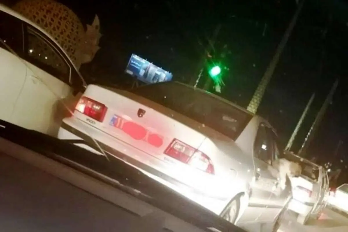 (ویدئو) حضور دردسر ساز یک سگ خانگی در خودرو دولتی