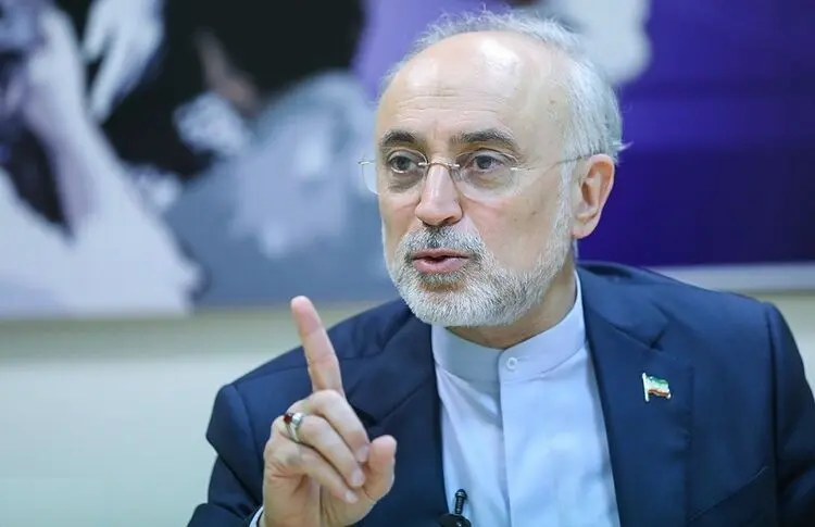 صالحی: مگر قبل از برجام همه چیز خوب و گل و بلبل بود