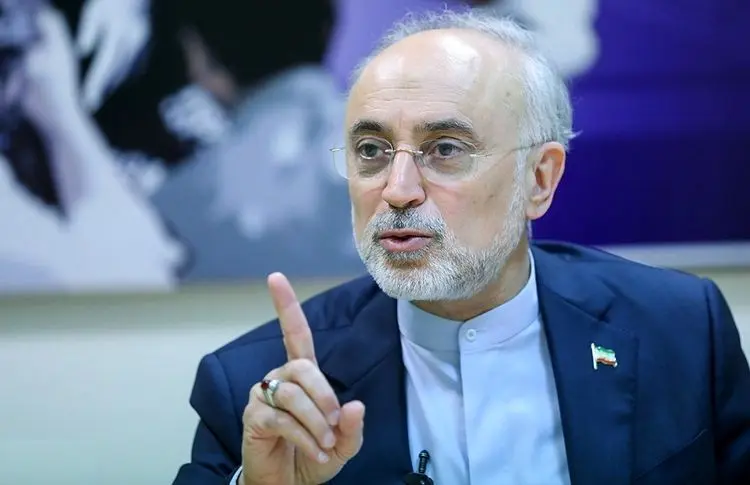 صالحی: مگر قبل از برجام همه چیز خوب و گل و بلبل بود