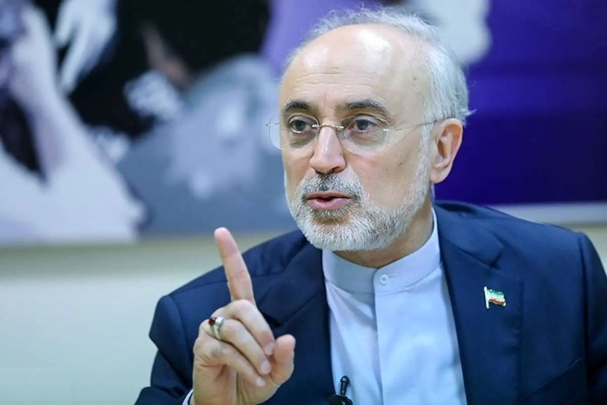 صالحی: مگر قبل از برجام همه چیز خوب و گل و بلبل بود