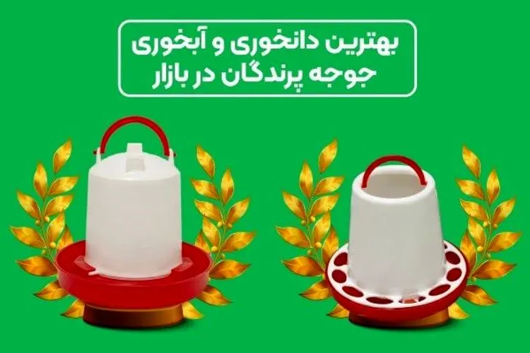 بهترین دانخوری و آبخوری جوجه پرندگان در بازار