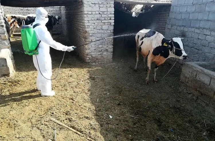 دامپزشکی خوزستان نسبت به شیوع تب کریمه کنگو هشدار داد