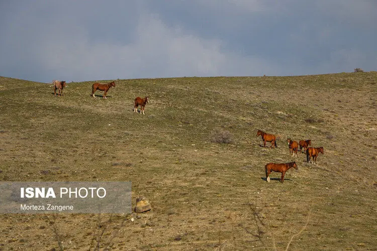 (تصاویر) حوالی تهران، زندگی در فاز ۸ پردیس