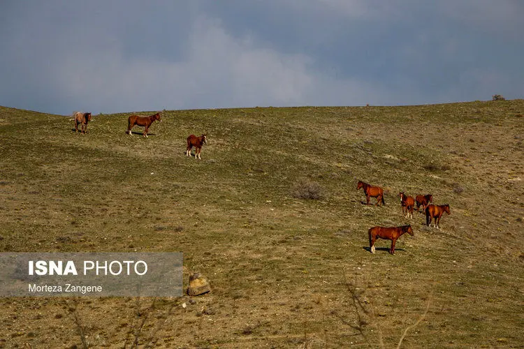 (تصاویر) حوالی تهران، زندگی در فاز ۸ پردیس
