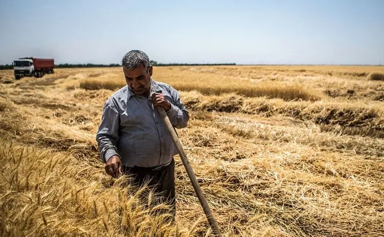 کمبود آب، مواد غذایی را گران می‌کند؟