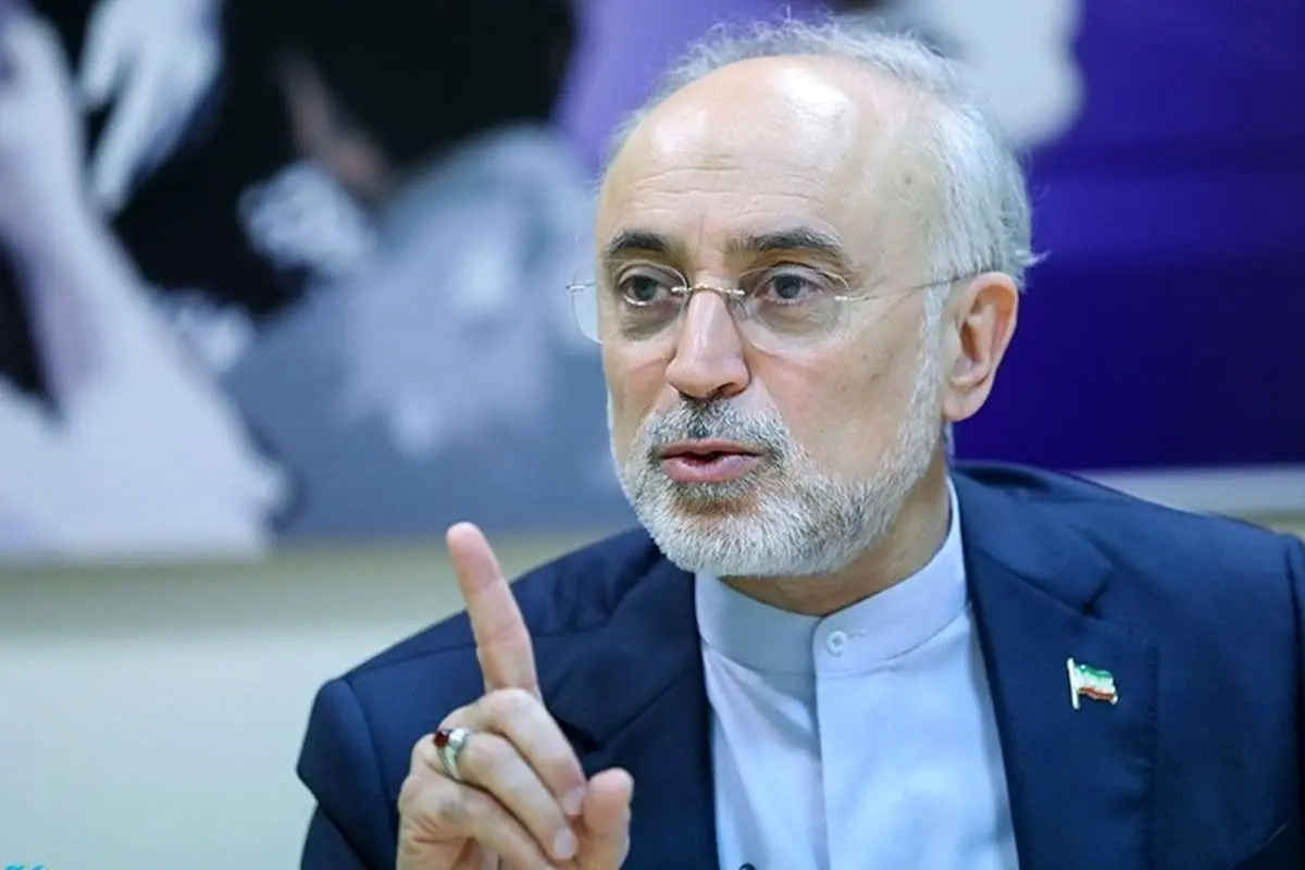 علی اکبر صالحی: دست ایران در مذاکرات وین از نظر فنی بسیار پر است