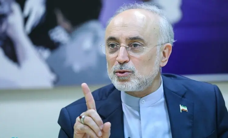 علی اکبر صالحی: دست ایران در مذاکرات وین از نظر فنی بسیار پر است