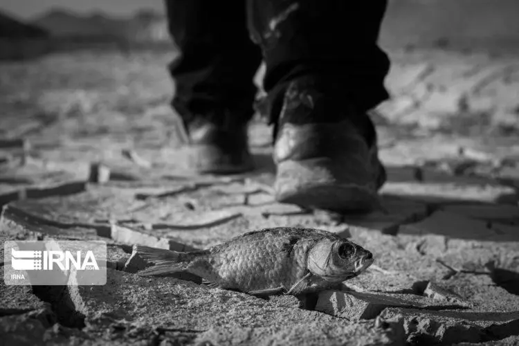 (تصاویر) آثار خشکسالی در سیستان