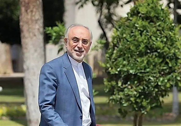 صالحی: فعلاً تصمیم قطعی برای کاندیداتوری نگرفته‌ام