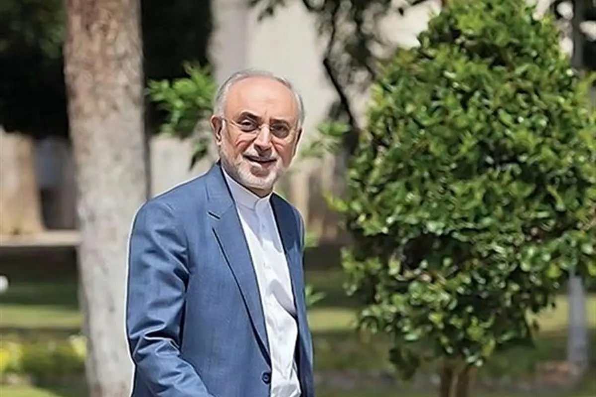 صالحی: فعلاً تصمیم قطعی برای کاندیداتوری نگرفتهام