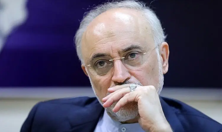 انصراف علی اکبر صالحی از داوطلبی ریاست‌جمهوری