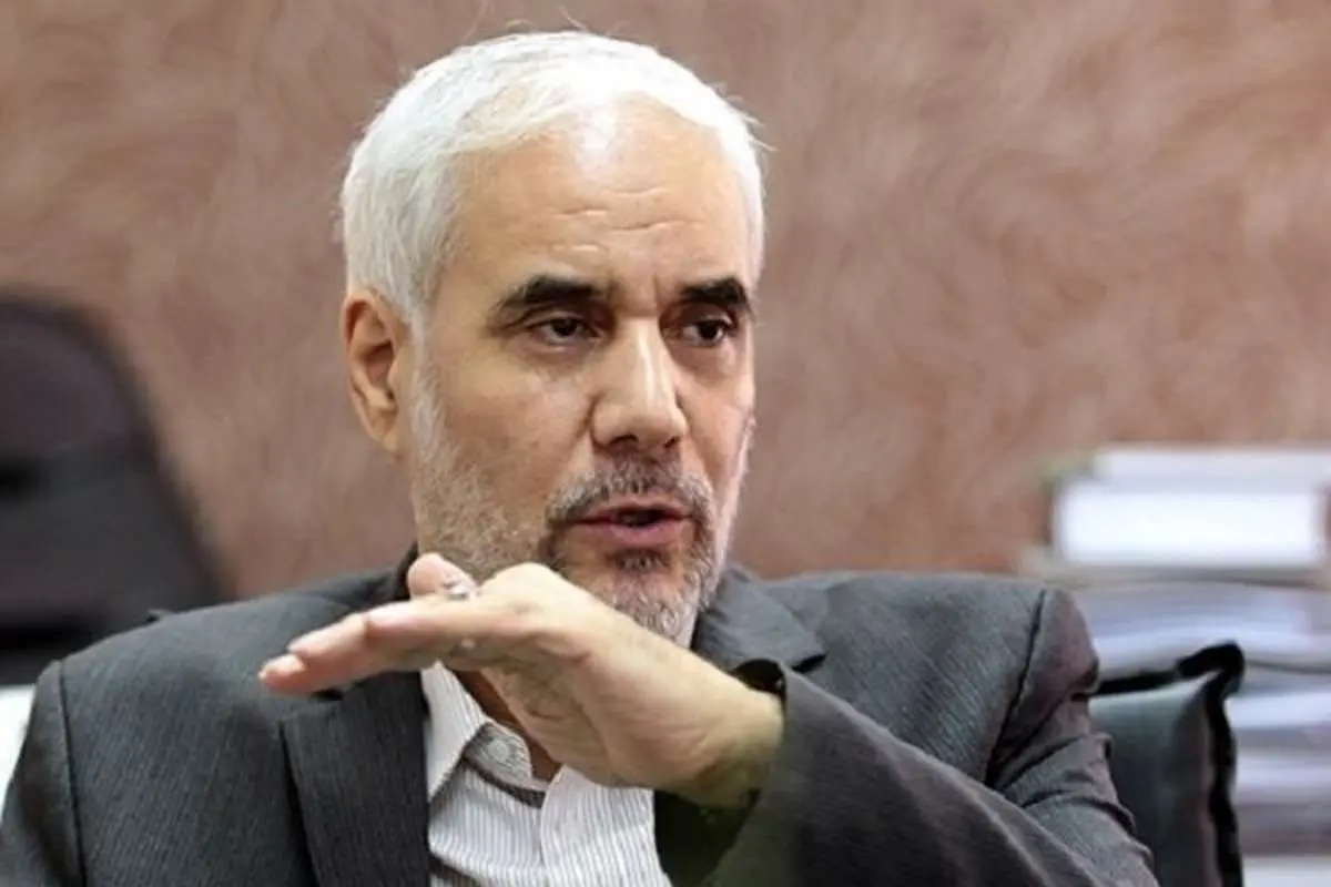 مهرعلیزاده: برنامه اقتصادی آلمان را اجرایی می‌کنم