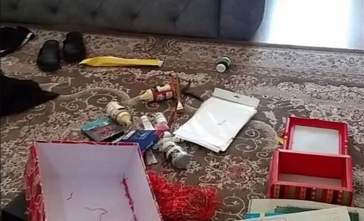 (ویدئو) لحظه سرقت از خانه خانم بازیگر!