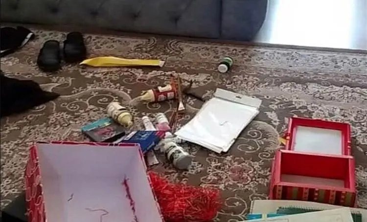 (ویدئو) لحظه سرقت از خانه خانم بازیگر!