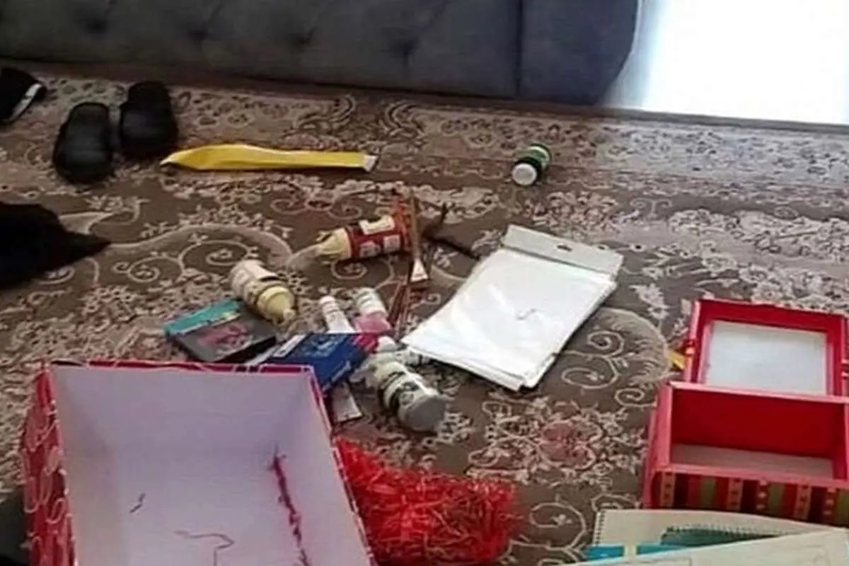 (ویدئو) لحظه سرقت از خانه خانم بازیگر!