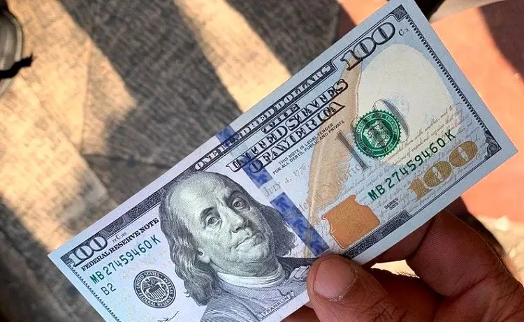 جزئیات طرح دولت رئیسی برای جذب دلار‌های خانگی