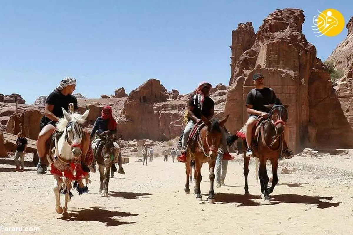 (تصاویر) الاغهای پترا، خوشحال از شیوع کرونا!