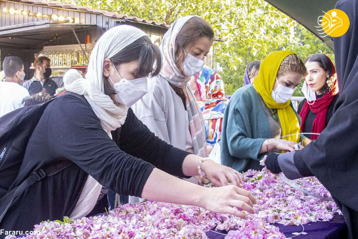 (تصاویر) جشنواره گل و گلاب در پارک آب و آتش