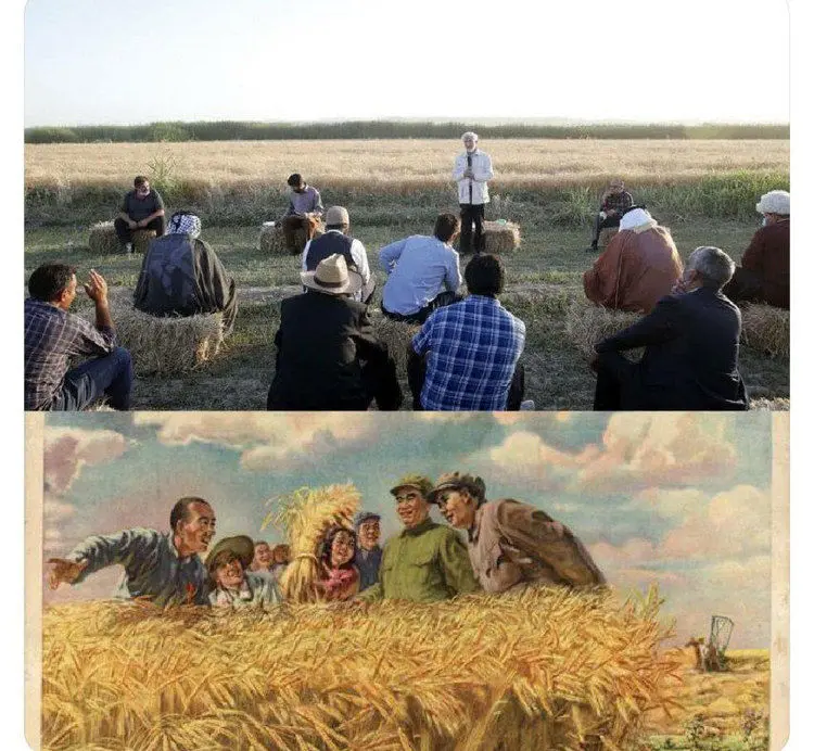 همتی عذرخواهی کرد