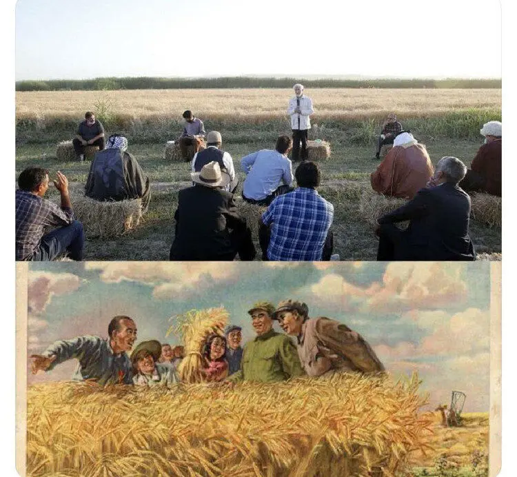 همتی عذرخواهی کرد