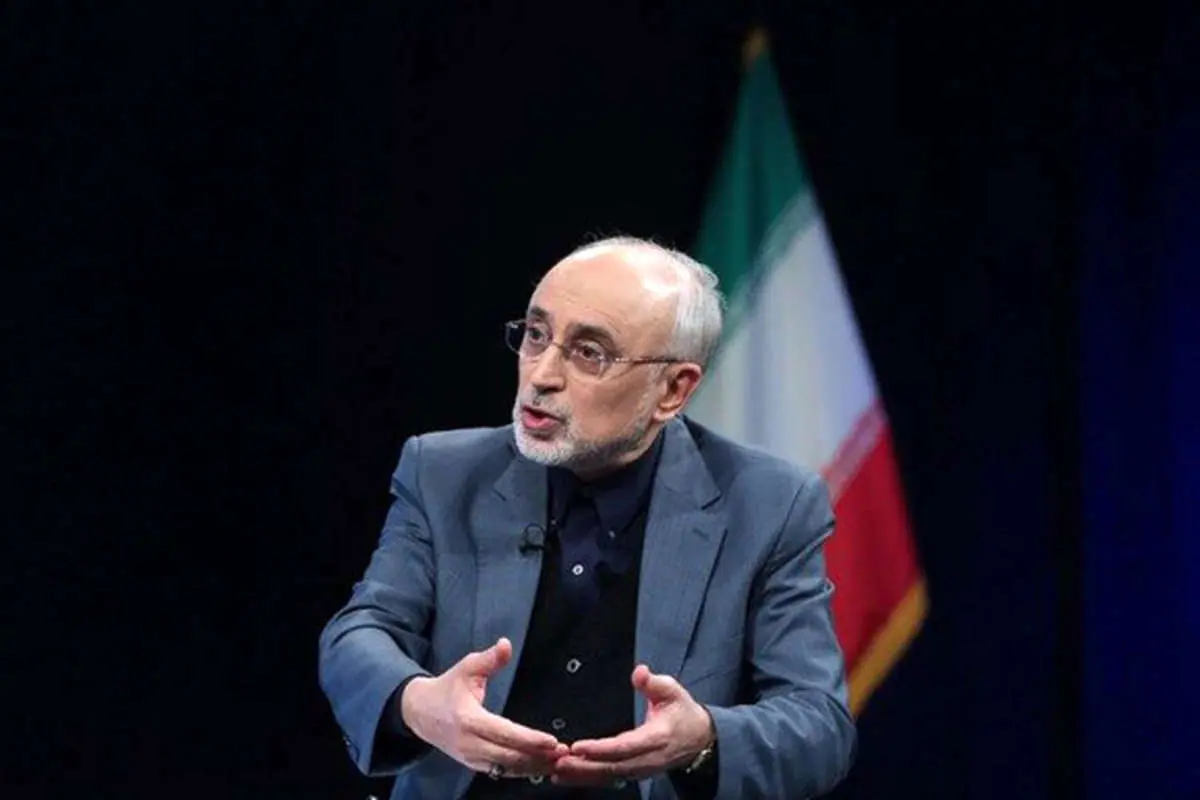 صالحی: مسائل فنی نیروگاه بوشهر حل شده است
